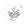 Picture of Leafy Look I _GroupedProduct_Square_Unframed_Print_Only_