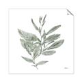 Picture of Leafy Look I _GroupedProduct_Square_Unframed_Print_Only_