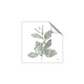 Picture of Leafy Look II _GroupedProduct_Square_Unframed_Print_Only_