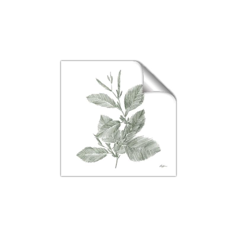 Picture of Leafy Look II _GroupedProduct_Square_Unframed_Print_Only_