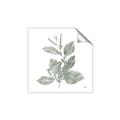 Picture of Leafy Look II _GroupedProduct_Square_Unframed_Print_Only_