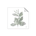 Picture of Leafy Look II _GroupedProduct_Square_Unframed_Print_Only_