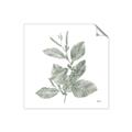 Picture of Leafy Look II _GroupedProduct_Square_Unframed_Print_Only_