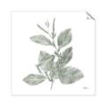 Picture of Leafy Look II _GroupedProduct_Square_Unframed_Print_Only_