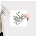 Picture of Leafy Look I _GroupedProduct_Square_Canvas_