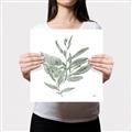 Picture of Leafy Look I _GroupedProduct_Square_Canvas_