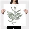 Picture of Leafy Look I _GroupedProduct_Square_Canvas_