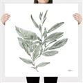 Picture of Leafy Look I _GroupedProduct_Square_Canvas_