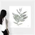 Picture of Leafy Look I _GroupedProduct_Square_Canvas_