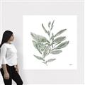 Picture of Leafy Look I _GroupedProduct_Square_Canvas_