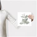 Picture of Leafy Look II _GroupedProduct_Square_Canvas_