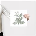 Picture of Leafy Look II _GroupedProduct_Square_Canvas_