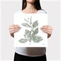 Picture of Leafy Look II _GroupedProduct_Square_Canvas_