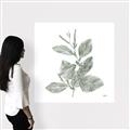 Picture of Leafy Look II _GroupedProduct_Square_Canvas_