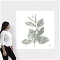 Picture of Leafy Look II _GroupedProduct_Square_Canvas_