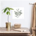Picture of Leafy Look I _GroupedProduct_Square_Canvas_