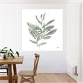 Picture of Leafy Look I _GroupedProduct_Square_Canvas_