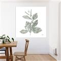 Picture of Leafy Look II _GroupedProduct_Square_Canvas_