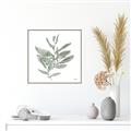 Picture of Leafy Look I _GroupedProduct_Square_Canvas_Framed_