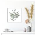 Picture of Leafy Look I _GroupedProduct_Square_Canvas_Framed_