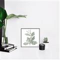 Picture of Leafy Look II _GroupedProduct_Square_Canvas_Framed_