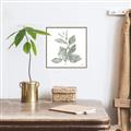 Picture of Leafy Look II _GroupedProduct_Square_Canvas_Framed_