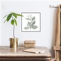 Picture of Leafy Look II _GroupedProduct_Square_Canvas_Framed_
