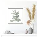Picture of Leafy Look II _GroupedProduct_Square_Canvas_Framed_