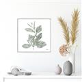Picture of Leafy Look II _GroupedProduct_Square_Canvas_Framed_