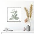 Picture of Leafy Look II _GroupedProduct_Square_Canvas_Framed_