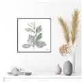 Picture of Leafy Look II _GroupedProduct_Square_Canvas_Framed_