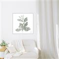 Picture of Leafy Look II _GroupedProduct_Square_Canvas_Framed_