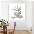 Picture of Leafy Look II _GroupedProduct_Square_Canvas_Framed_