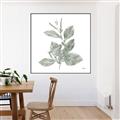 Picture of Leafy Look II _GroupedProduct_Square_Canvas_Framed_