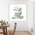 Picture of Leafy Look II _GroupedProduct_Square_Canvas_Framed_