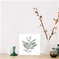 Picture of Leafy Look I _GroupedProduct_Square_Unframed_Print_Only_
