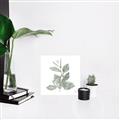 Picture of Leafy Look II _GroupedProduct_Square_Unframed_Print_Only_