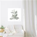 Picture of Leafy Look II _GroupedProduct_Square_Unframed_Print_Only_