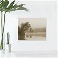Picture of Dreamy Greens _GroupedProduct_Rectangle_Landscape_Photography _GroupedProduct_Rectangle_Landscape_Unframed_Print_Only_