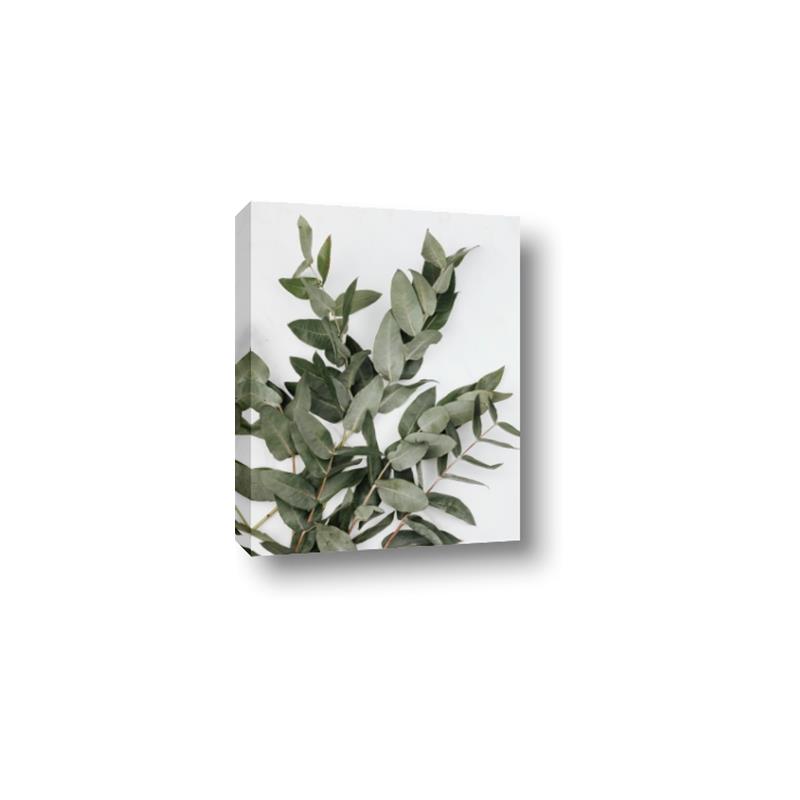 Picture of Sage Love _GroupedProduct_Rectangle_Portrait_Canvas_