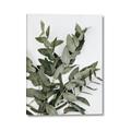 Picture of Sage Love _GroupedProduct_Rectangle_Portrait_Canvas_