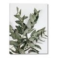 Picture of Sage Love _GroupedProduct_Rectangle_Portrait_Canvas_