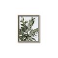 Picture of Sage Love _GroupedProduct_Rectangle_Portrait_Canvas_Framed_