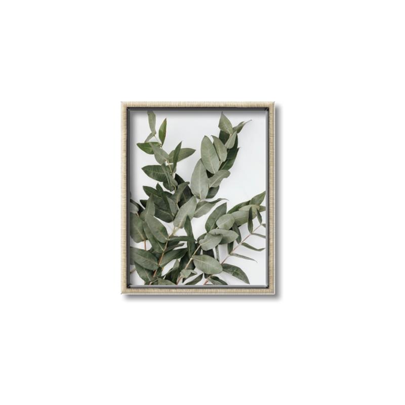 Picture of Sage Love _GroupedProduct_Rectangle_Portrait_Canvas_Framed_