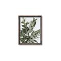 Picture of Sage Love _GroupedProduct_Rectangle_Portrait_Canvas_Framed_