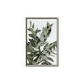 Picture of Sage Love _GroupedProduct_Rectangle_Portrait_Canvas_Framed_