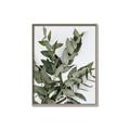 Picture of Sage Love _GroupedProduct_Rectangle_Portrait_Canvas_Framed_