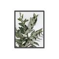Picture of Sage Love _GroupedProduct_Rectangle_Portrait_Canvas_Framed_