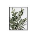 Picture of Sage Love _GroupedProduct_Rectangle_Portrait_Canvas_Framed_