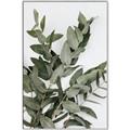 Picture of Sage Love _GroupedProduct_Rectangle_Portrait_Canvas_Framed_